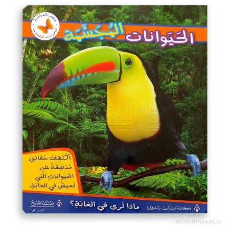 ماذا ترى في الغابة