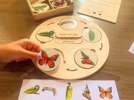 دورة حياة الكائنات( تسع كائنات)